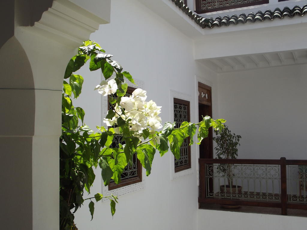 Riad Les Bougainvilliers Marrakesh Exterior photo